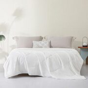 MENDALE 梦洁家纺 暖阳大豆抗菌纤维夏被  1.2m床(150*200cm)