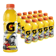 GATORADE 佳得乐 柠檬味功能运动饮料 600ml*15瓶*2件