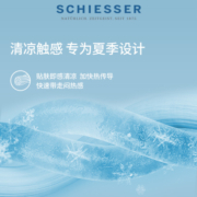 2条装SCHIESSER舒雅锦纶冰丝凉感速干透气男士中腰平角内裤20013T