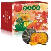 妃尝 贝贝南瓜 4.5斤装