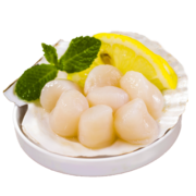 獐子岛 冷冻扇贝柱 250g 烧烤火锅食材 袋装 海鲜 生鲜 健康轻食