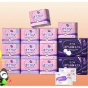 LADYCARE 洁婷 卫生巾透气双U日夜用组合 106+6片
