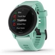 GARMIN 佳明 先行者 745，GPS 跑步手表，详细的训练统计数据和设备上锻炼，基本的智能手表功能,热带