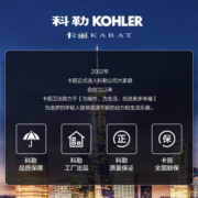 卡丽（KARAT）科勒 面盆冷热水龙头洗手盆水龙头台盆卫生间水龙头24733T 伯纳丁单把单孔脸盆龙头