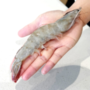概率券:鲜京采 厄瓜多尔白虾1.5kg/盒*3件 加大号20-30