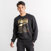 6日10点：PUMA 彪马 男款运动卫衣 58526701