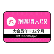 bilibili 哔哩哔哩 大会员12个月