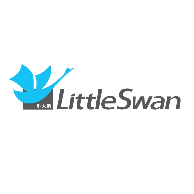 小天鹅 Little Swan