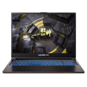 PLUS会员：Hasee 神舟 战神TX8R5 16英寸游戏本（i5-13500HX、16GB、512GB、RTX4060）