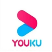 YOUKU 优酷 视频会员年卡 12个月