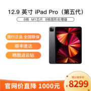 Apple 苹果 iPad Pro 2021款 12.9英寸 平板电脑 (2732