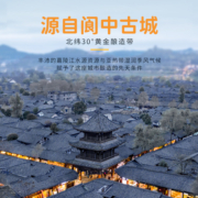 保宁黄豆酱油1L*2瓶点蘸凉拌红烧调味炒菜酿造生抽酱油