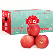 Goodfarmer 佳农 烟台红富士苹果 特级果（单果240g）5kg*3件
