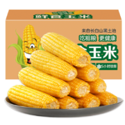 宋玉今 黄糯玉米 260g *8支/盒
