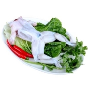 京东百亿补贴: 全之格生鲜 鲜冻牛蛙 蛙肉 鲜活现杀 1500g