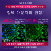 Disren玻色因多肽抗皱深补水睡眠面膜提拉紧致淡化细纹提亮肤色16