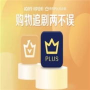 24日开始: iQIYI 爱奇艺 黄金会员年卡+京东PLUS年卡+4大权益