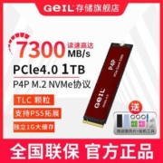 GeIL金邦P4P 1TB/2TB M.2固态硬盘NVME协议接口SSD全新原装