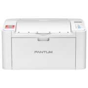 奔图（PANTUM） P2206NW P2210W家庭办公作业激光打印机A4学生打印家用单功能打印机 下单送PD-213鼓，P2206W青春版 官方标配