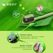 刷牙大师家庭装大麦6支装竹炭软毛细毛小头成人家用麦芽清洁牙刷