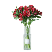 花加（flowerplus）单品鲜花盲盒  3束花材随机