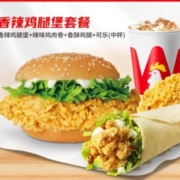 华莱士  香辣鸡腿堡单人餐 电子券