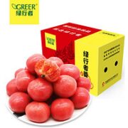 GREER 绿行者 绿行折 粉番茄小果 5斤