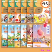 一年级二年级三小学生练字帖四五六字帖上册下册每日一练笔画笔顺练语文生字同步描红人教版专用练习写字硬笔书法练字本贴儿童楷书