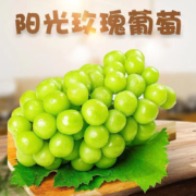 PLUS会员：鲜其 新鲜阳光玫瑰葡萄 5斤装 单果6-8G