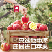 babycare光合星球婴儿零食进口维生素c西梅果泥猕猴桃泥100g×5袋