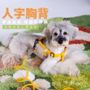 Touchdog 它它 宠物狗狗牵引绳 桔色脖圈