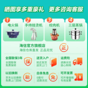 海信（Hisense）鲜域650升对开门冰箱双开门超大容量双变频一级能效家用电冰箱风冷无霜纤薄机身 BCD-650WFK1DPUQ BCD-650WFK1DPUQ