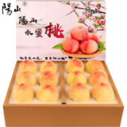 阳山 水蜜桃 无锡阳山特产 单果200-250g 12个礼盒装