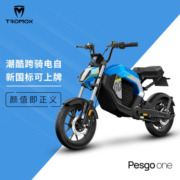 摩兽TROMOX电动车PesgoOne新国标智能电动车自行车电瓶车可上牌 太空灰 48V20Ah青春版