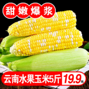 京东百亿补贴: 土地母亲计划 水果玉米甜玉米 净重5斤