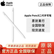 Apple/苹果二代手写笔ipad pencil原装笔适用2021pro/mini6/air5