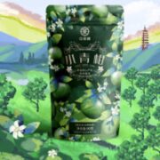 中茶 小青柑  云南普洱茶叶 90g