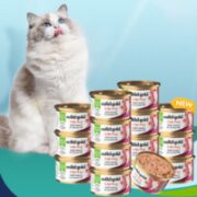 素力高 椰子油金枪鱼 猫罐头 85g*15罐