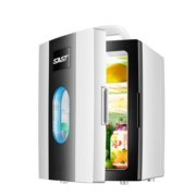 SAST  车载冰箱 10L迷你冰箱宿舍租房户外小冰箱便携式母乳冰箱