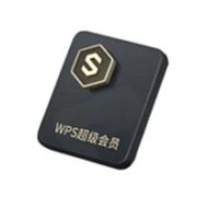 WPS 金山软件 超级会员4年+6个月（加赠28天）