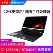 (现货)神舟S8D6 2.5K100%色域165hz屏+I7+4060独显直连高配游戏本