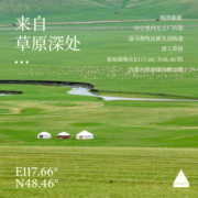 奇美研小红袋益生菌粉调节大人男女性肠道IBS肠易激平衡菌群紊乱