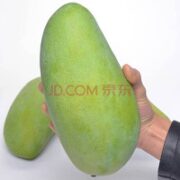 柚公主 越南大青芒9斤整箱 5-8个左右