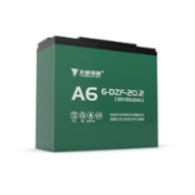TIANNENG BATTERY 天能电池 A6 电动车铅酸电池 48V20Ah