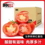 哪咤豆豆红番茄5斤