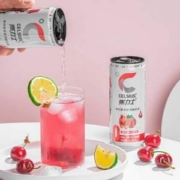 《明星健身房》第二季官方指定饮品，CELSIUS 燃力士 运动健身无糖饮料300mL*8罐