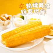 东北糯玉米真空包装新鲜粘黏现摘软黄糯玉米棒粗粮代餐220g*10根