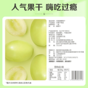 百草味水果干大礼包礼盒芒果干草莓干休闲蜜饯果脯零食送礼品