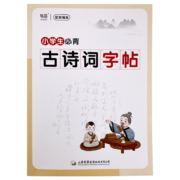 小学生必背古诗词钢笔字帖每一日练正楷楷书唐诗宋词硬笔练字帖
