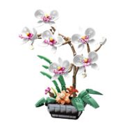 JAKI 佳奇 植物日志系列 JK29012 蝴蝶兰（婉约白）